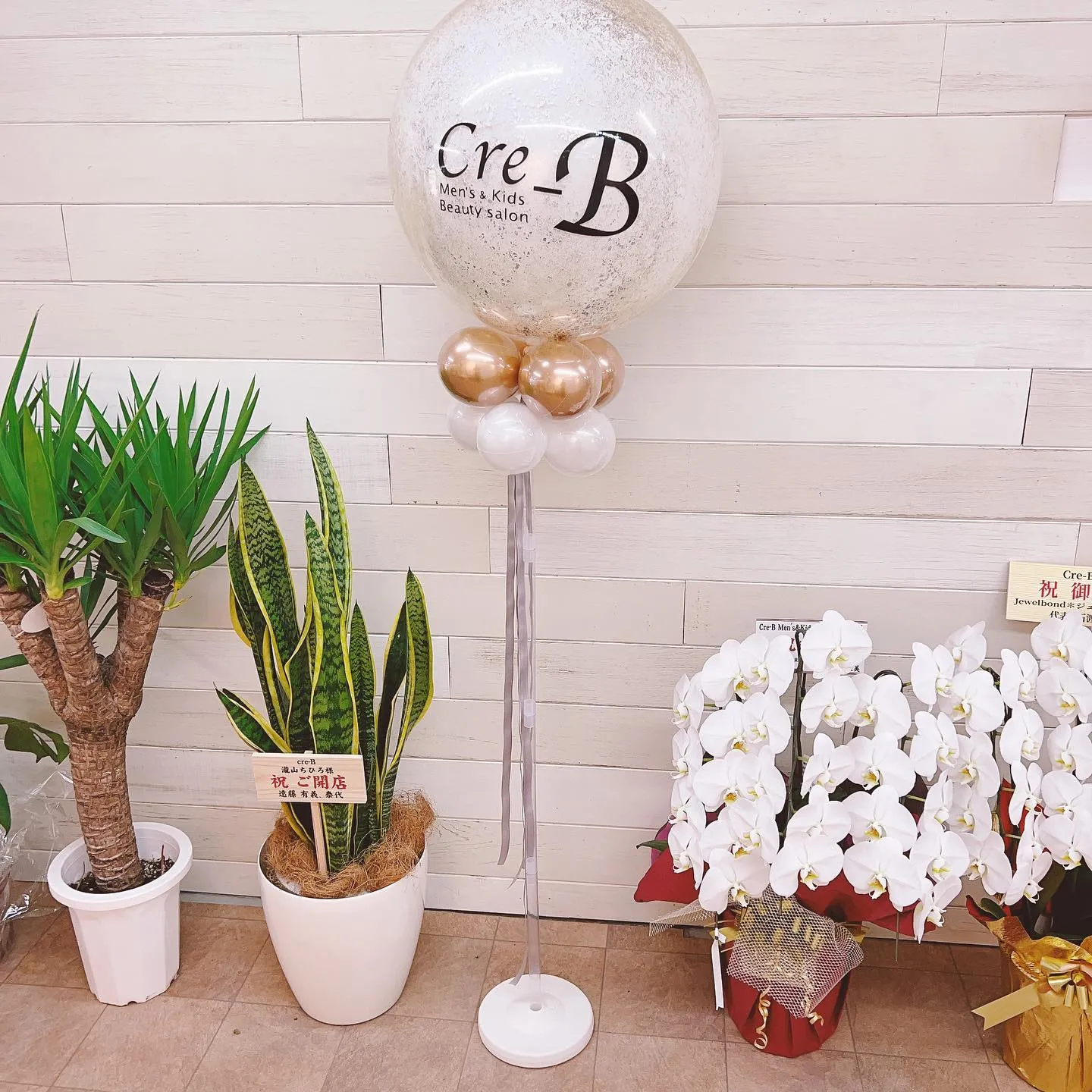 たまプラーザクレビーです✨